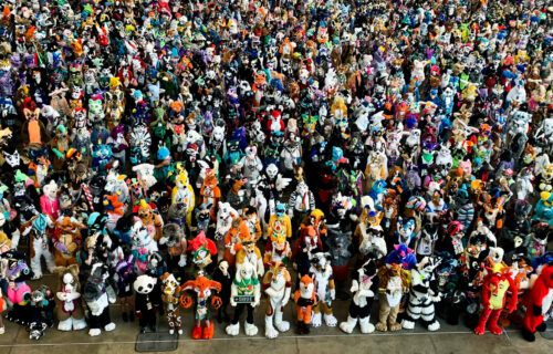 A large group of Furries, people dressed up in animal costumes
