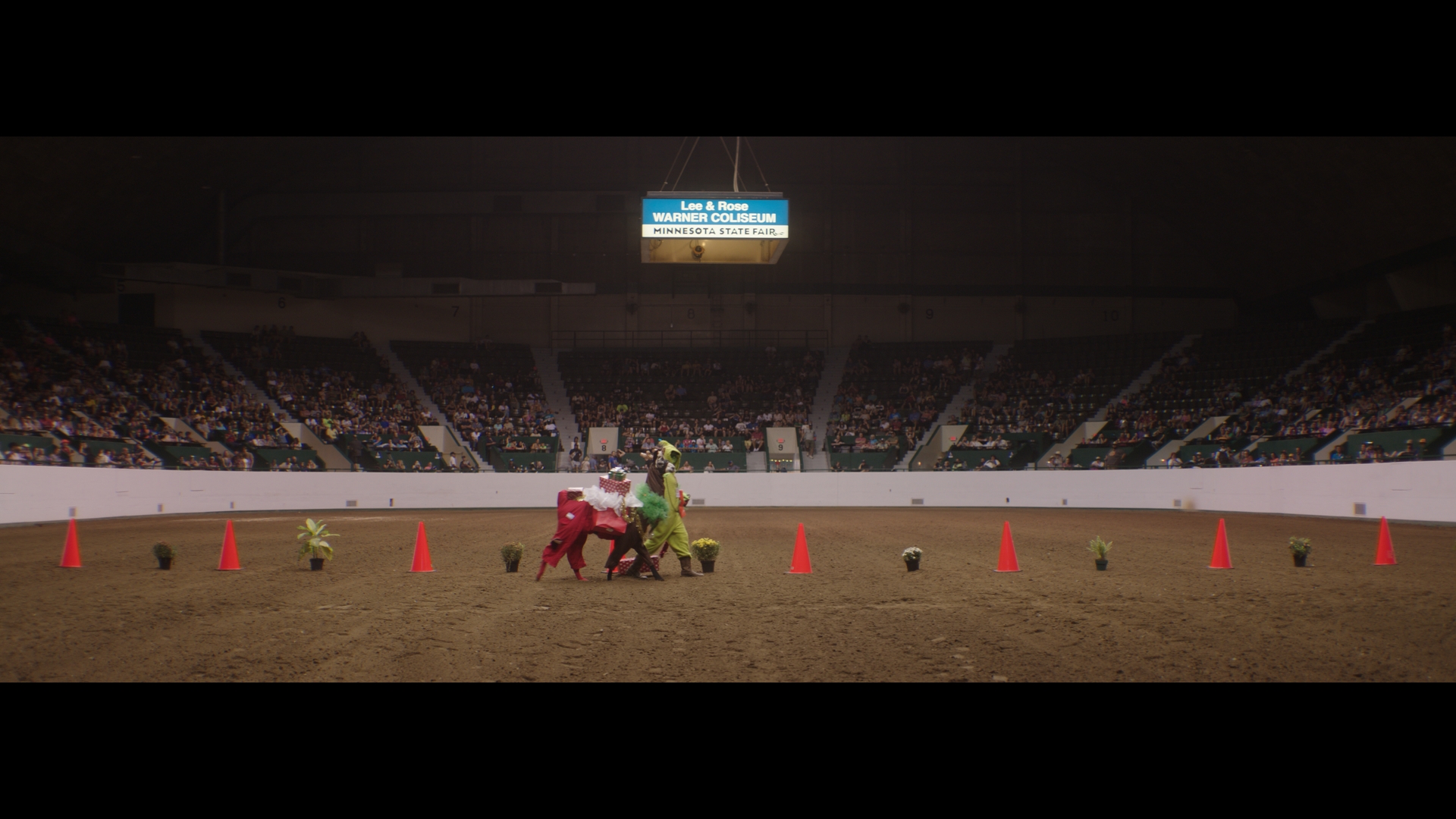 A person walking a lama in the middle of the Lee & Rose Warner Coliseum at the Minnesota State Fair as a packed audience watches.